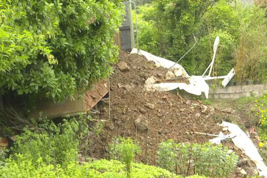 货车侧翻压倒树 树主人:先拿30万元押金