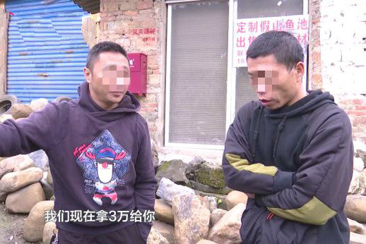 货车侧翻压倒树 树主人:先拿30万元押金
