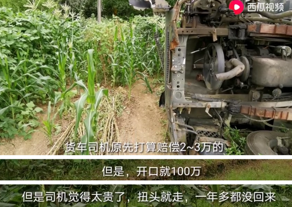 货车侧翻压倒树 树主人:先拿30万元押金