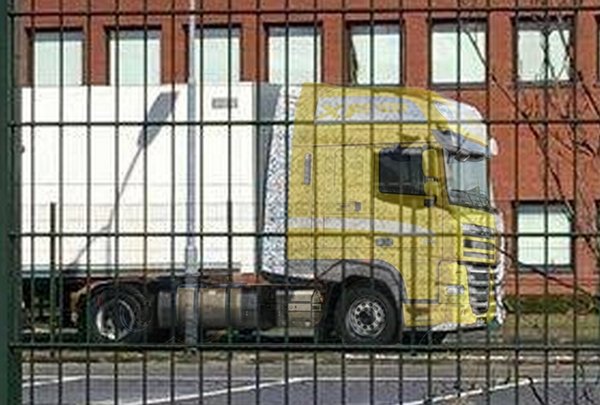 ���س���ƽͷ��ʻ��&nbsp;���XF�³�̫����