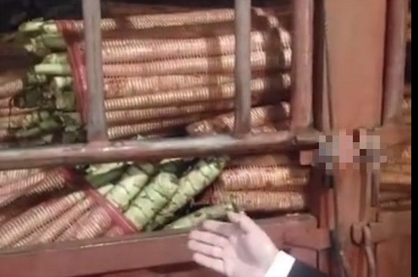 ݫ��ȥҶ������ͨ�������������������