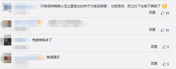 ݫ��ȥҶ������ͨ�������������������