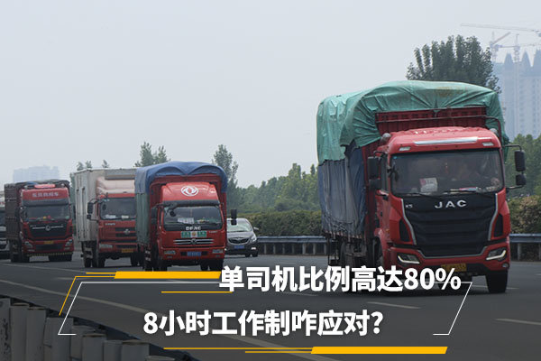 ˾ߴ80% 8СʱզӦ?