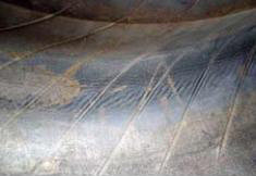 ��̥֪ʶ�ռ�12&nbsp;̥ѹ������ȶ�����ȡ