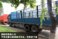 运价7000掉到3500 绿通车主直言没法干