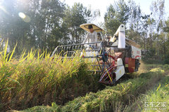 ˾��Ϊʡ��·�Ѱ��֤ �д�����6500Ԫ