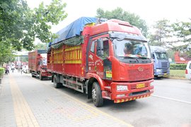 运价对半砍 3元变1.5元 卡友:跑绿通运输坑还有很多