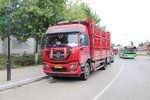 辞职花26万买车跑绿通 以车为家值不值