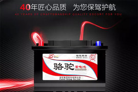 专为驻车空调定制 高配版骆驼蓄电池