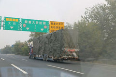 �����ܳ��ؿ���8�¡�9����8������ʵʩ