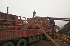 ����ص�20��ǰ �㻹����¿���˾����