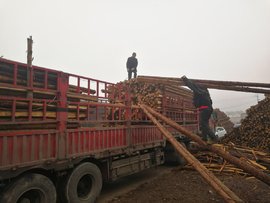 假如回到20年前 你还会从事卡车司机吗？