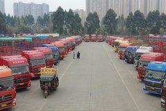 ��̩���ؿ����������»� �����������