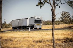 ������50���� ���޿�������ʲô����