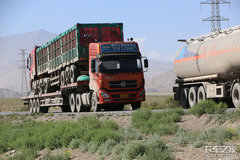 ��ĸ���ٴ����� ������ģʽֵ���ƹ���?