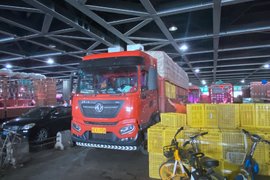 跑绿通20天挣1万多元 卡友:拉应季货押车情况会很少