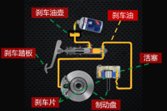 С��ѡ��ɲ������ɲ����Ӧ��������Ҫ