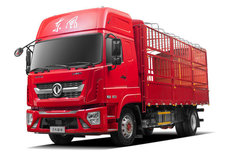 仅售18万 青岛多利卡D9K载货车优惠促销