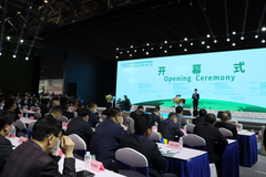 �����ǵ���������Դ���������̲���