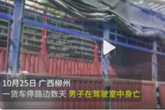 ���� ����ͣ·������ ˾���ڼ�ʻ������