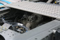 540AMT34.6ºTH7 4x2
