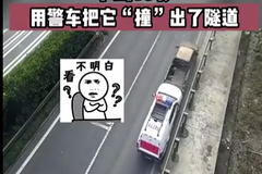 Ƥ����ê �������䡰������Σ�յش���