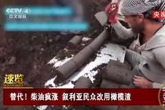 �۸���� ������������������������