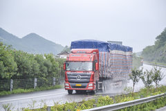 �ǹ������ý��� �ٷ���������Ƿ�ǿ��?