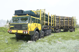 火遍全网的太脱拉！ 天生内八的运动健将 12缸猛男有何魅力？