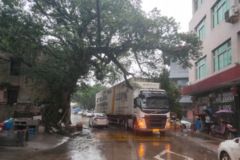 ����ײ��300������ ��ί�����14����Ԫ