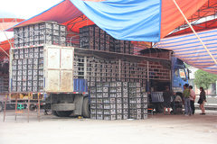 ���Ƴ�����ͨ���ˣ� ���ѣ���6.8�׻���