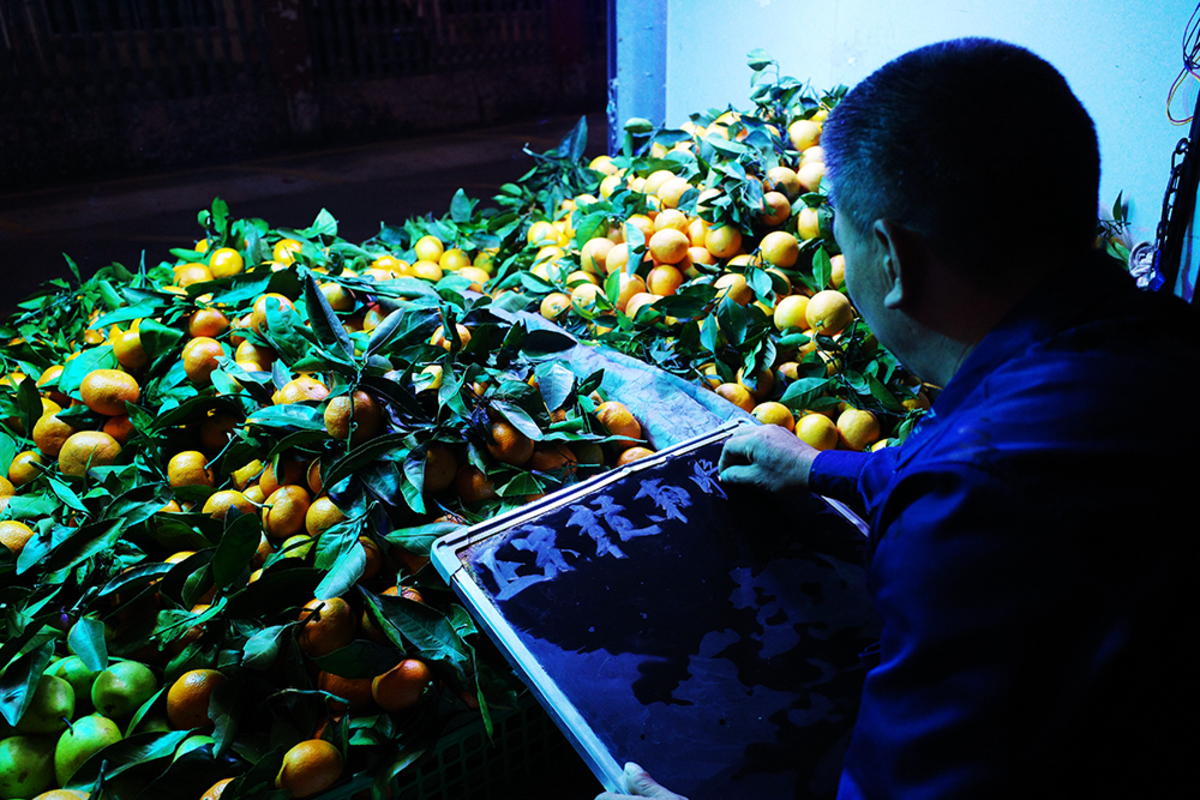 祥菱小财鹿，人生新起点 - 第5张