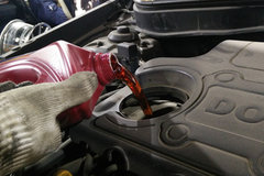 ���С֪ʶ����֪����������ô�������