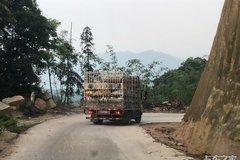 ���ٻ����ݿ������䣡���ѻ��Ȼ���