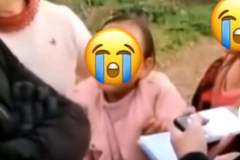 ����˾��͵3��С�����������¹ٷ���Ӧ