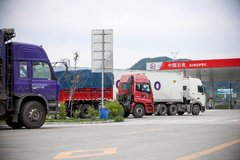 ����10-20%��1�� �°�Υ���Ƿֹ������