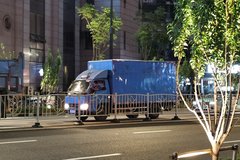 ������������ɫ���������걨����������