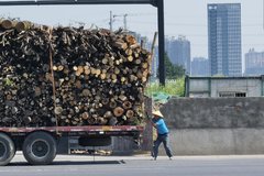 �����ж������������ר�����γ��س���