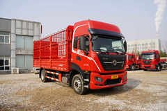 21��8!���KR plus 6��8�Ϲ����10�ֶ�