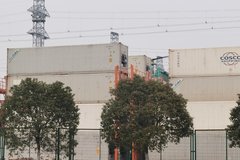 �Ϻ���ͨί��������������չܿؾ���