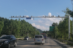 ��0�ַ�0Ԫ���������� ������Ӱ�����