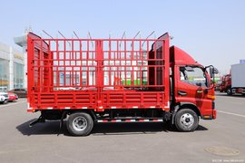 绝版合规仓栅车再获六个月销售期 这四款你最喜欢谁？