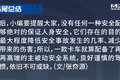 这些常见的主被动安全系统 你都知道吗?
