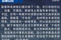 回本快还耐造 5款资源运输利器盘点