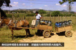 C6驾照引关注? 这些暴力牵引挂车更绝