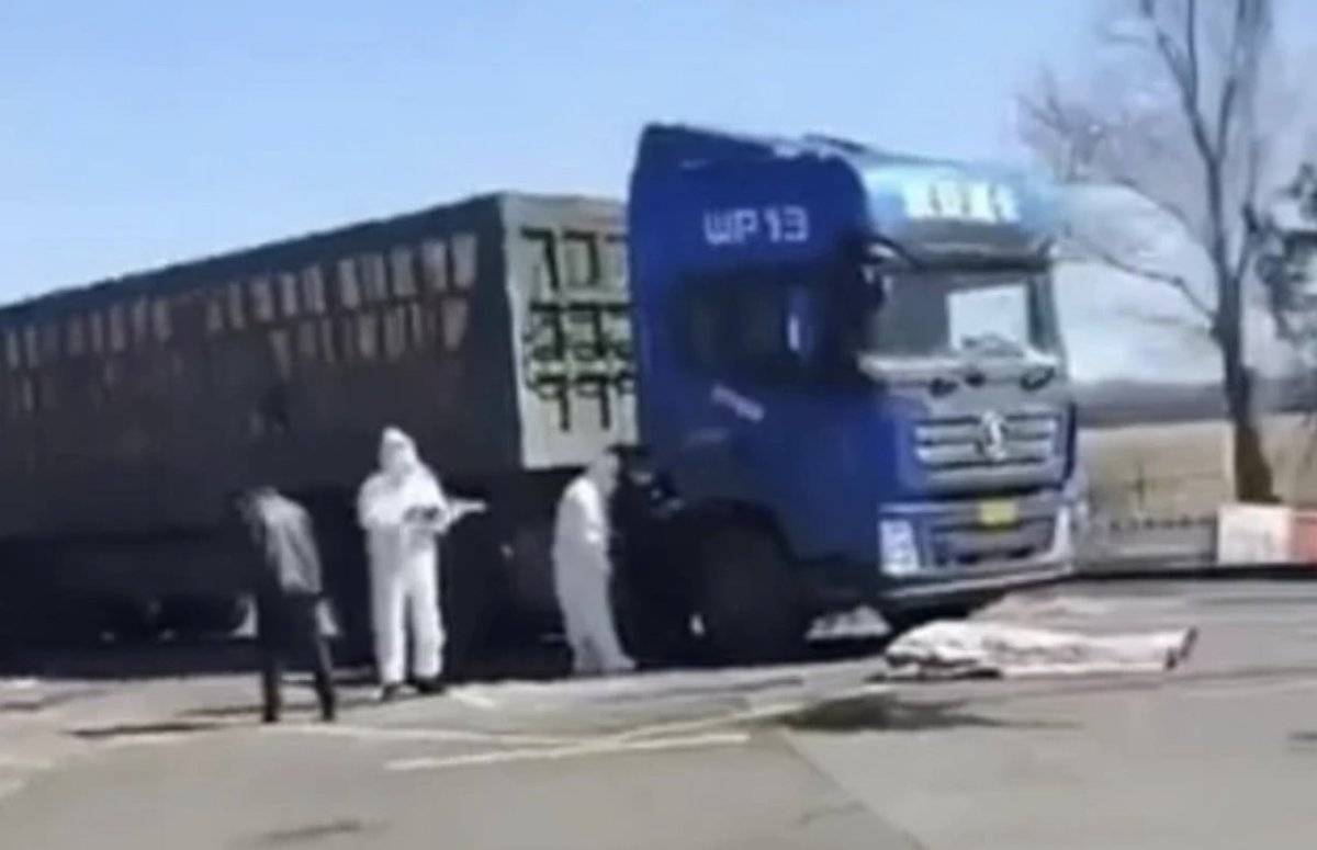 网传吉林货车司机 被困高速服务区20天后死亡