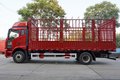 6缸高顶双卧6米8 跑绿通这四款你选谁?