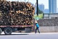 赚钱少转行难 坚守与退出 散户难迎春天