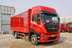 6��290���� 6��8���KR Plus��10���