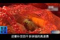 绿通货竟不免高速费？补费卸车真够呛！
